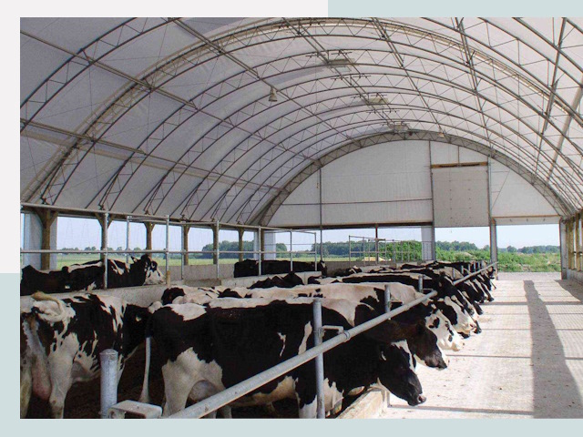 Тентовые коровники в Видном